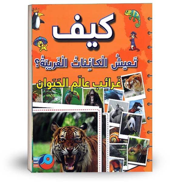 Midi Dress with Belt